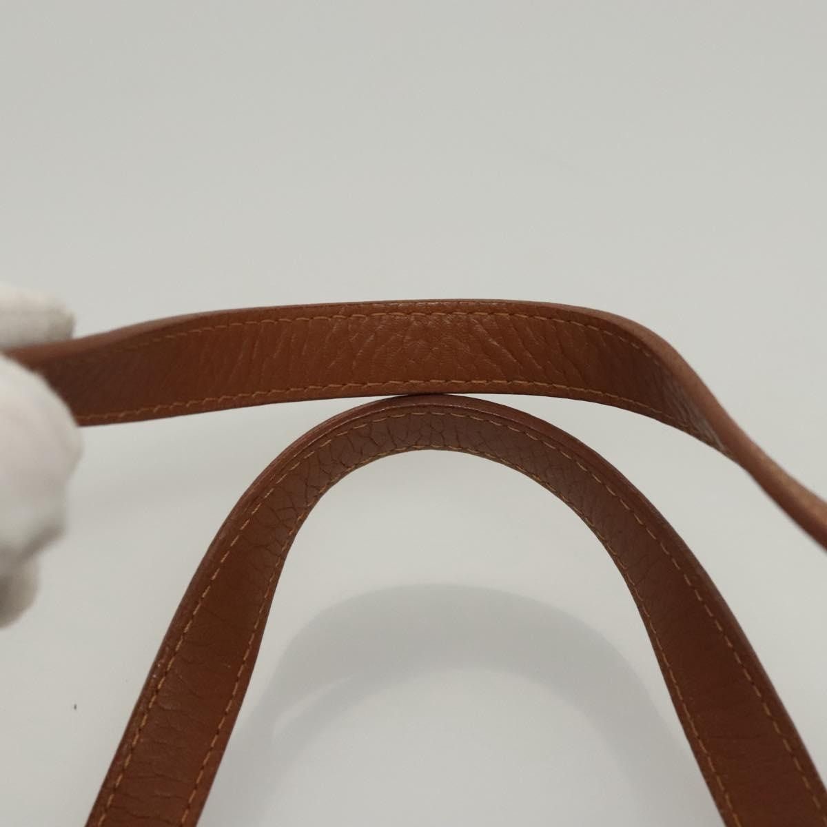 FENDI Zucchino Canvas Hand Bag Brown Gold