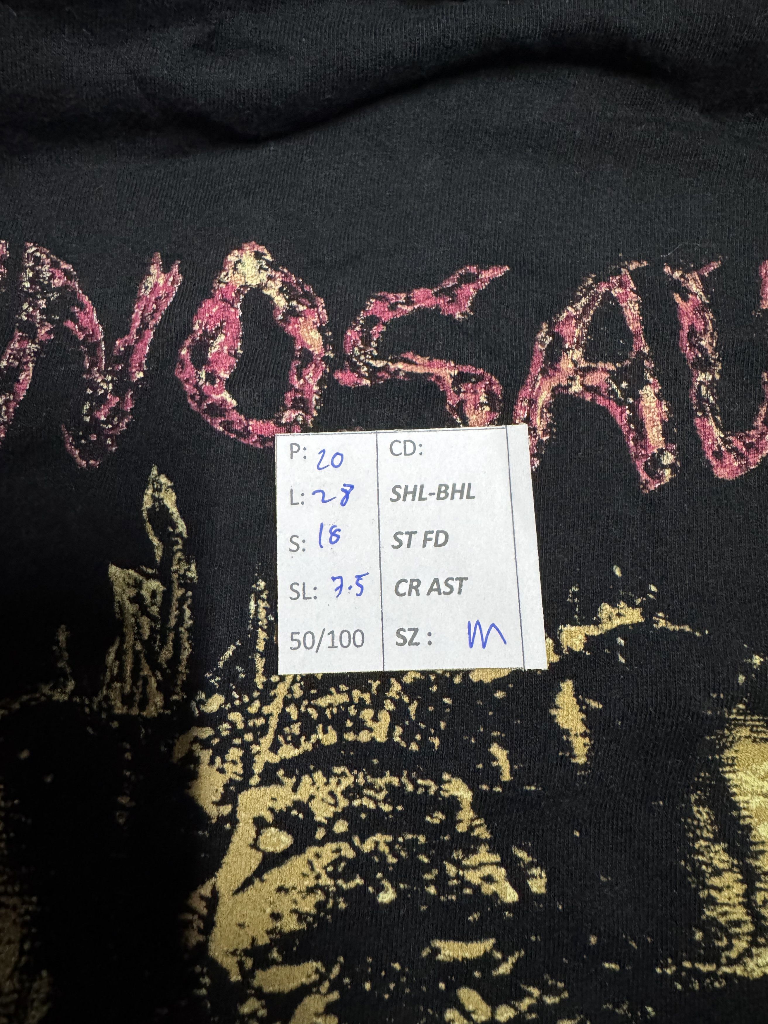 Band Tees VINTAGE DINOSAUR JR BUG LOGO Y2K sonic pixies mazzy Size US M / EU 48-50 / 2 - 16 Thumbnail