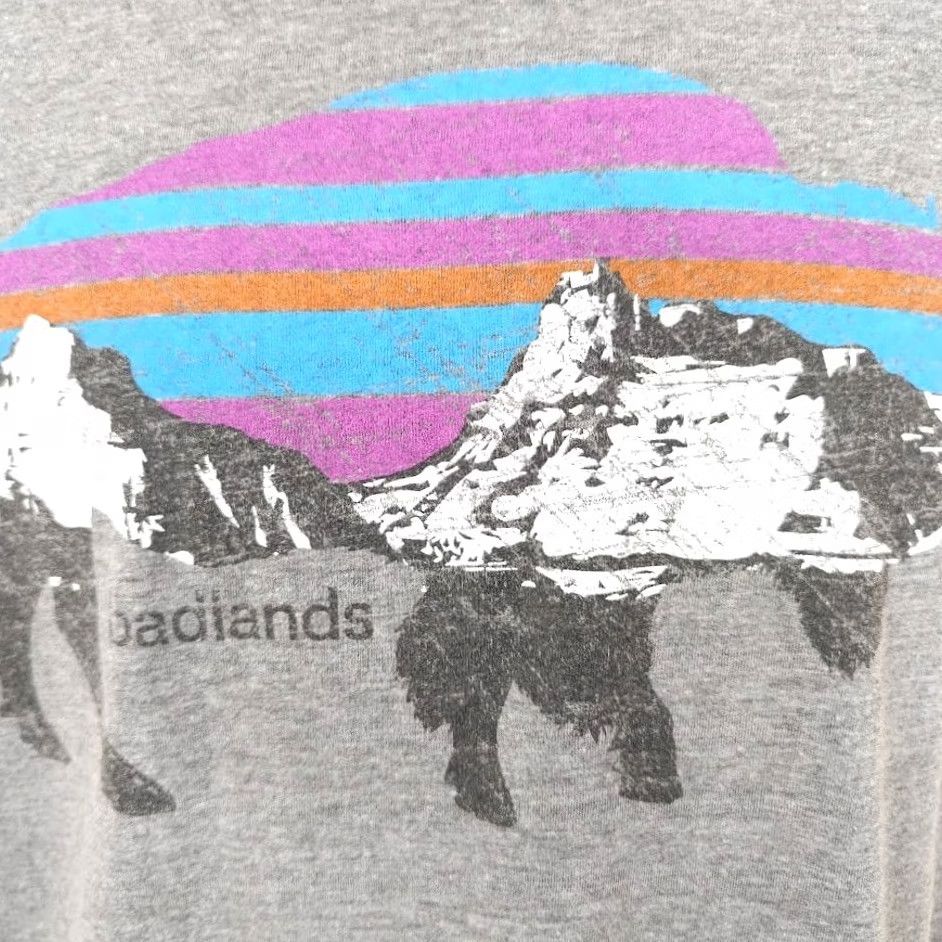 Next Level Badlands T Shirt Mens Small Gray National Park Bison Buffalo South Dakota Shirt Mens Small Gray National Park Bison Buffalo South Dakota Size US XL / EU 56 / 4 - 3 Thumbnail