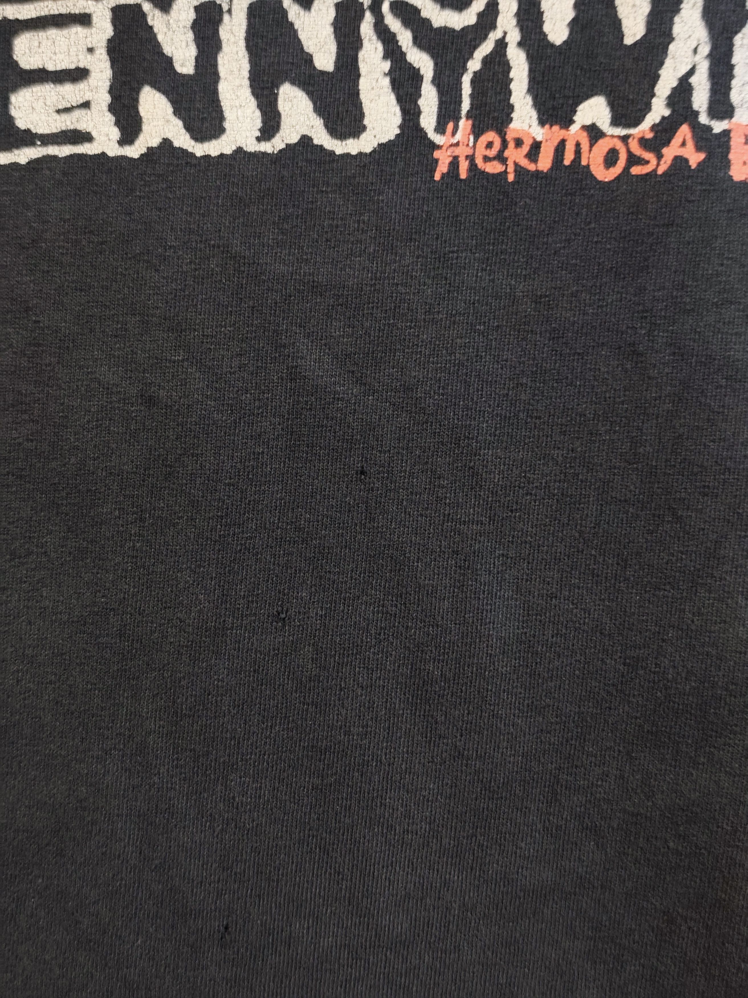 Band Tees Vtg 00s Pennywise Hermosa Beach CA Band Tee Size US L / EU 52-54 / 3 - 9 Thumbnail