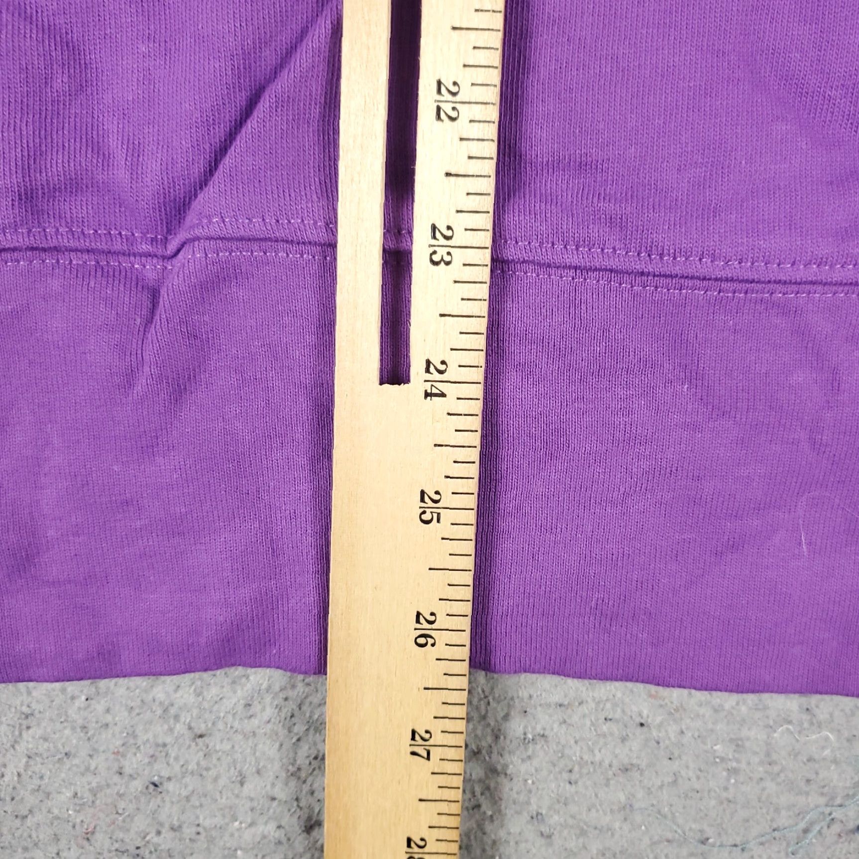 Champion Champion Pullover Sweatshirt Men's Small Purple Mock Neck Long Sleeve Cotton Blend Size US S / EU 44-46 / 1 - 6 Thumbnail