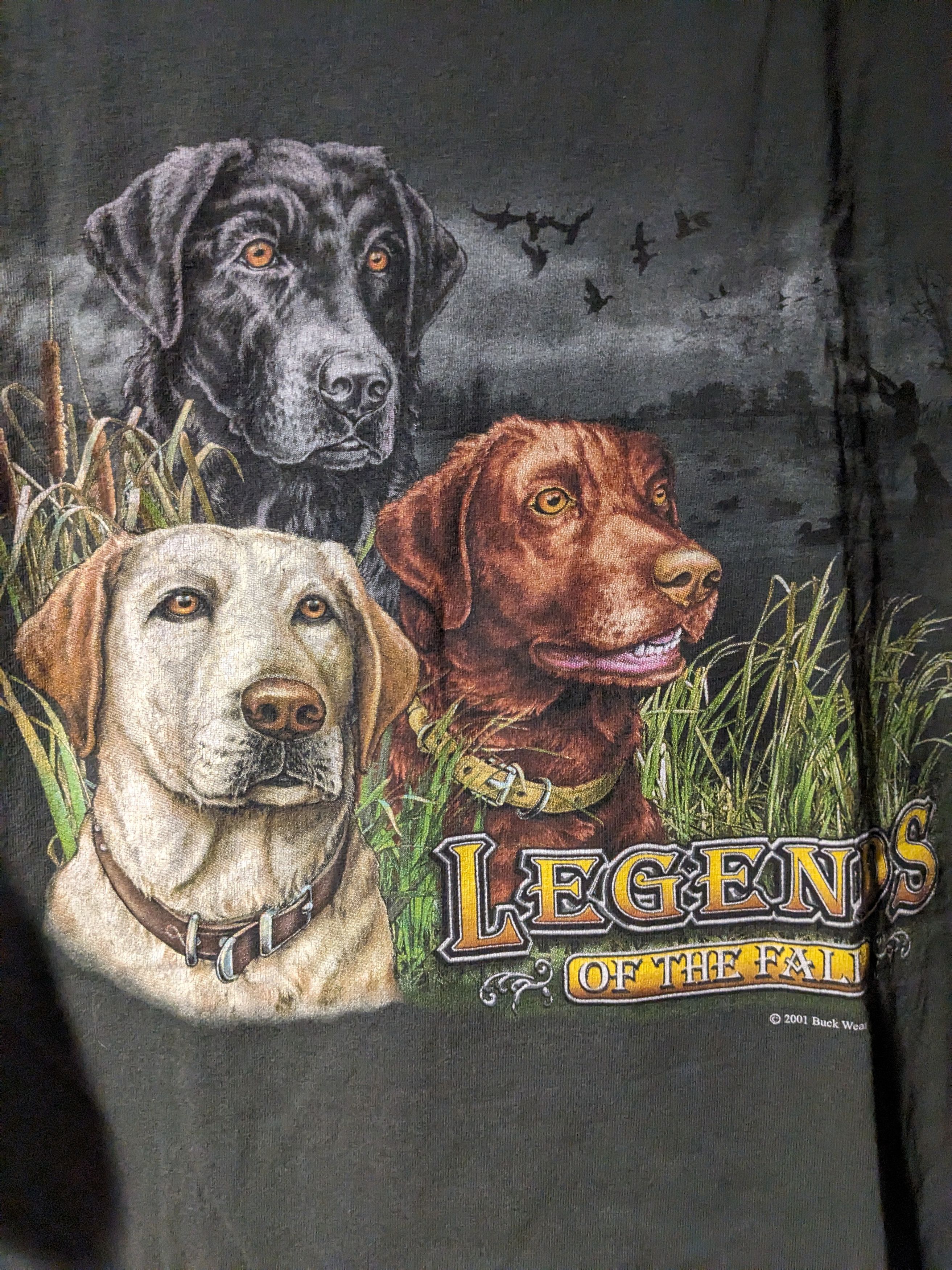 Vintage Vintage 2001 Labrador Legends of the Fall XX-Large T-Shirt Size US XXL / EU 58 / 5 - 2 Thumbnail