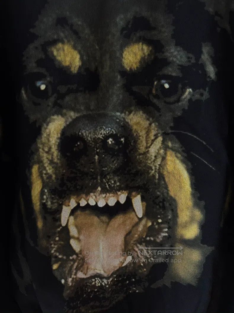 Givenchy Givenchy Classic Dog Check Knit Hoodie Size S Slightly Loo Size US S / EU 44-46 / 1 - 2 Thumbnail