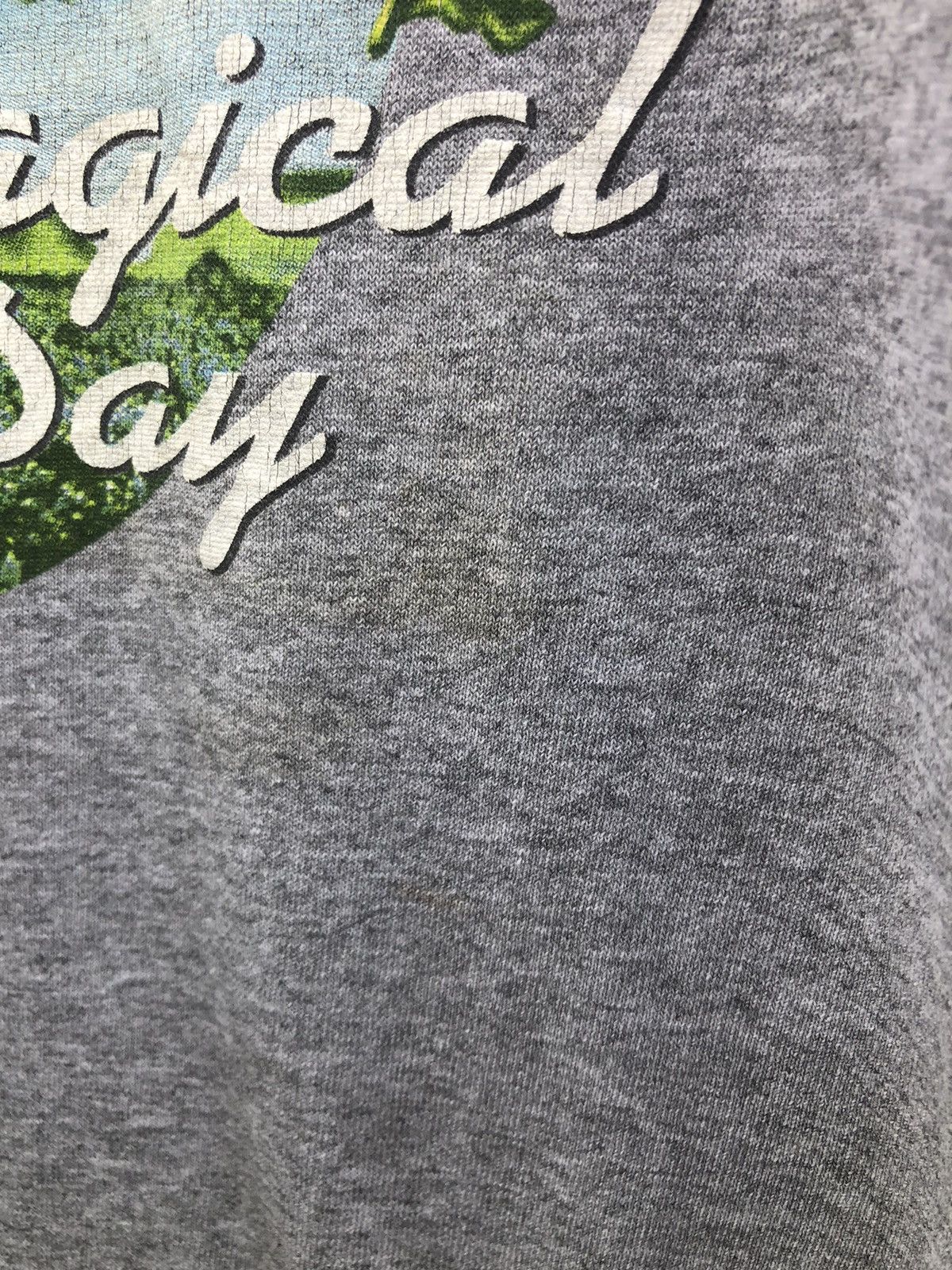 Vintage Vintage Disney Tigger Magical Day Tee Size US L / EU 52-54 / 3 - 14 Thumbnail