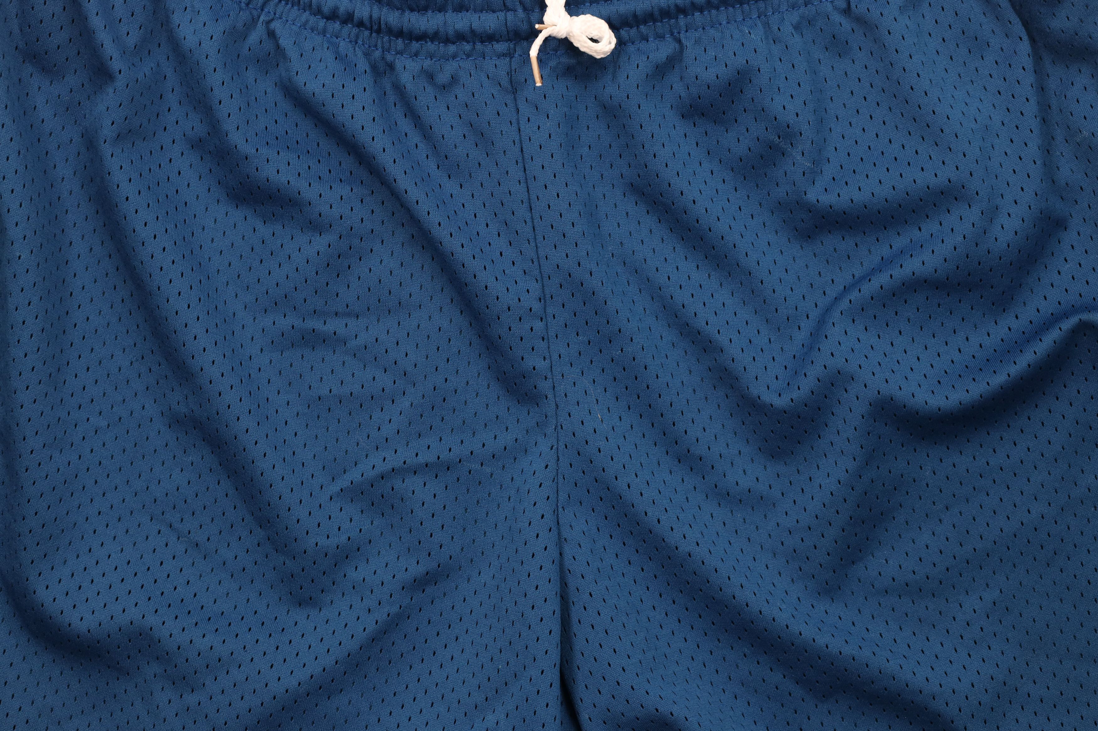 Nike Vintage Nike Scott Mini Swoosh Above Knee Shorts Mesh Blue Size US 34 / EU 50 - 3 Thumbnail