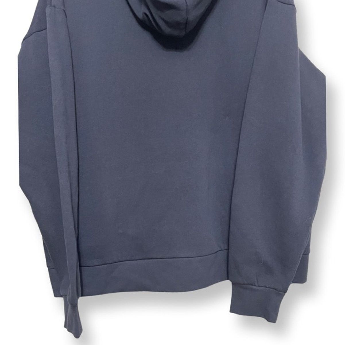 Other The Phluid Project Hoodie Sweatshirt Homo Sapien Blue M M Size US M / EU 48-50 / 2 - 7 Thumbnail