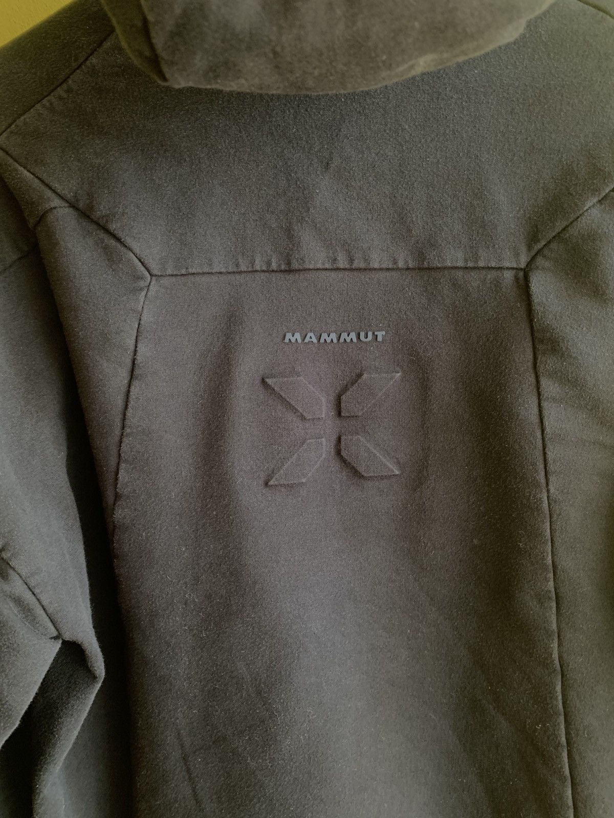 Mammut Hoodie Mammut Eiger Extreme big logo gorpcore M Size US M / EU 48-50 / 2 - 6 Thumbnail