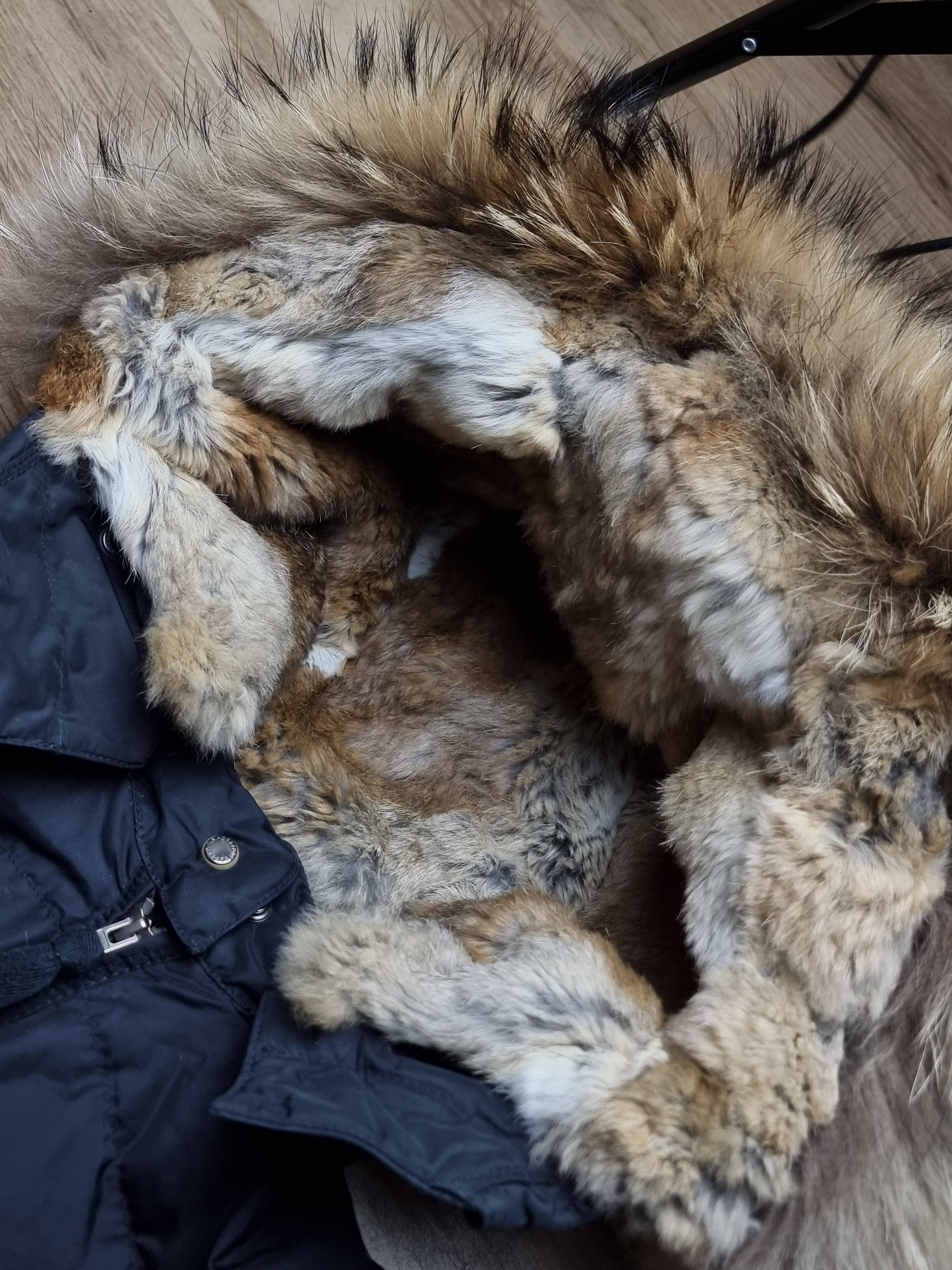 Parajumpers Parajumpers damen coat down jacket Size XS / US 0-2 / IT 36-38 - 3 Thumbnail