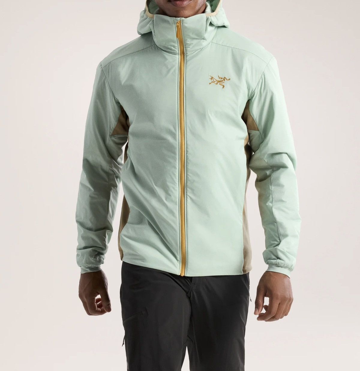 Arc'teryx Arc’teryx Atom Hoody Jacket Color Trail Magic Size US XL / EU 56 / 4 - 6 Thumbnail