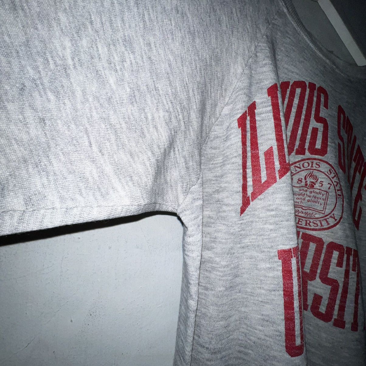 Champion 23x25 Vintage CHAMPION Illinois State University Pullover Size XL / US 12-14 / IT 48-50 - 5 Thumbnail