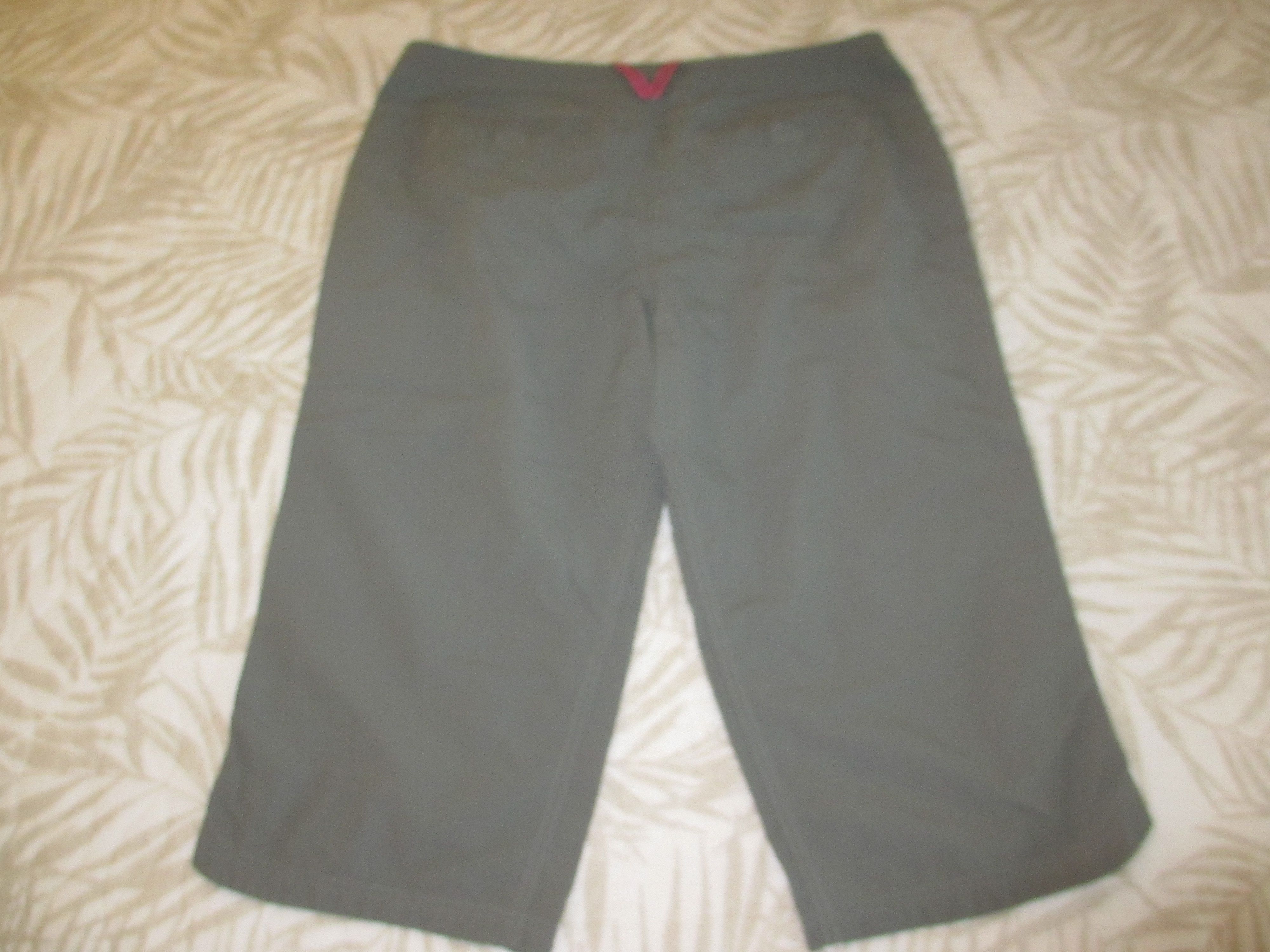 The North Face The North Face Capri Pants Size 10 Regular Lightweight Outdo Size 32" / US 10 / IT 46 - 4 Thumbnail