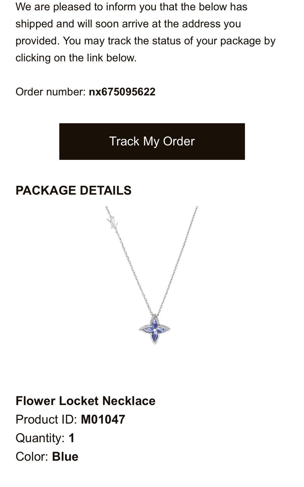 Louis Vuitton Louis Vuitton Flower Locket Necklace (Sold Out) Size ONE SIZE - 6 Thumbnail