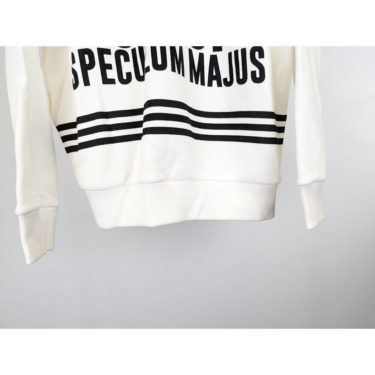 Adidas × Gucci o1rshd1 Hoodie in White Size US XS / EU 42 / 0 - 7 Thumbnail