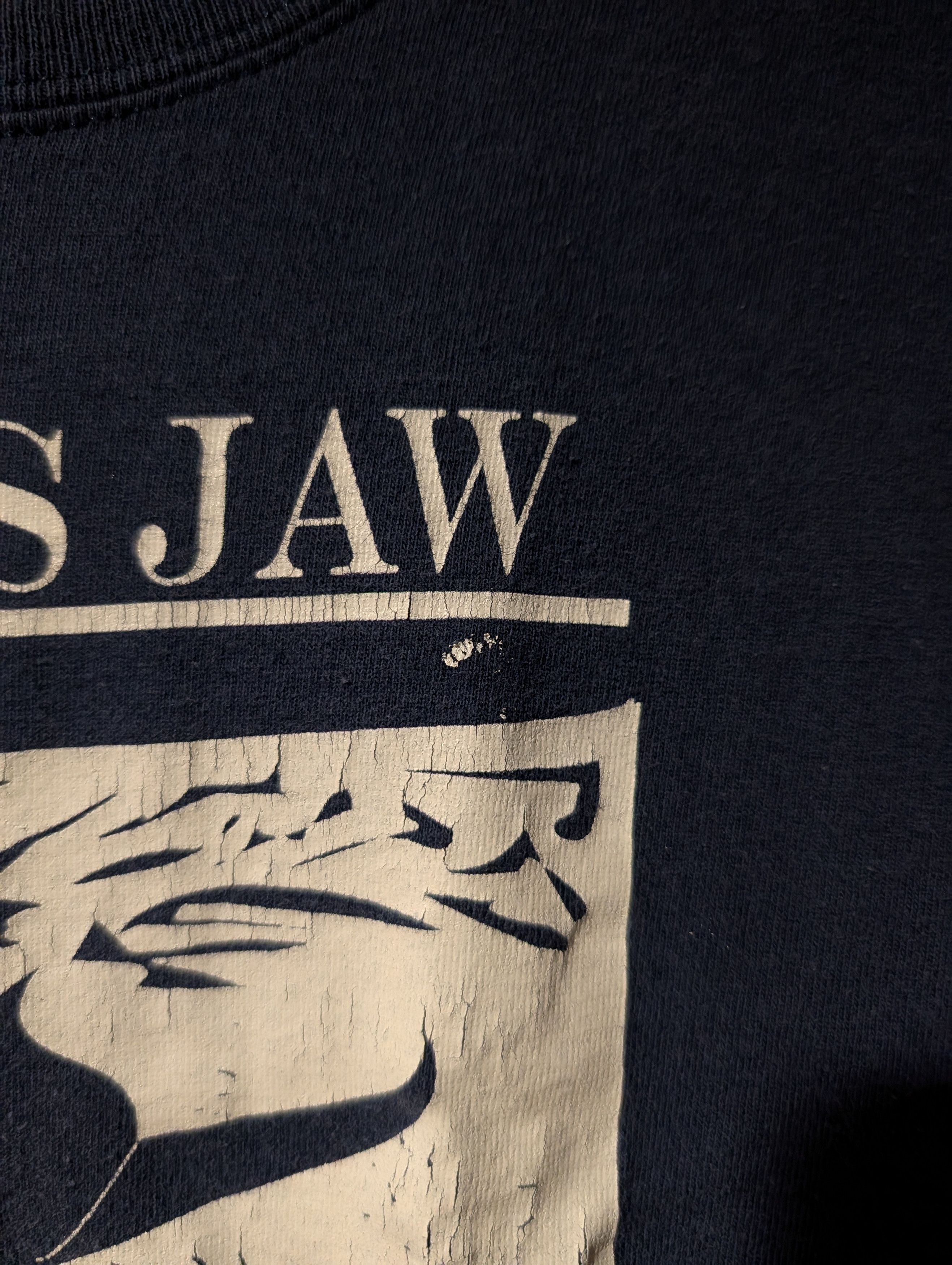 Band Tees Vintage Y2K Tigers Jaw Wilkes-Barre Band Medium T-Shirt Size US M / EU 48-50 / 2 - 4 Thumbnail