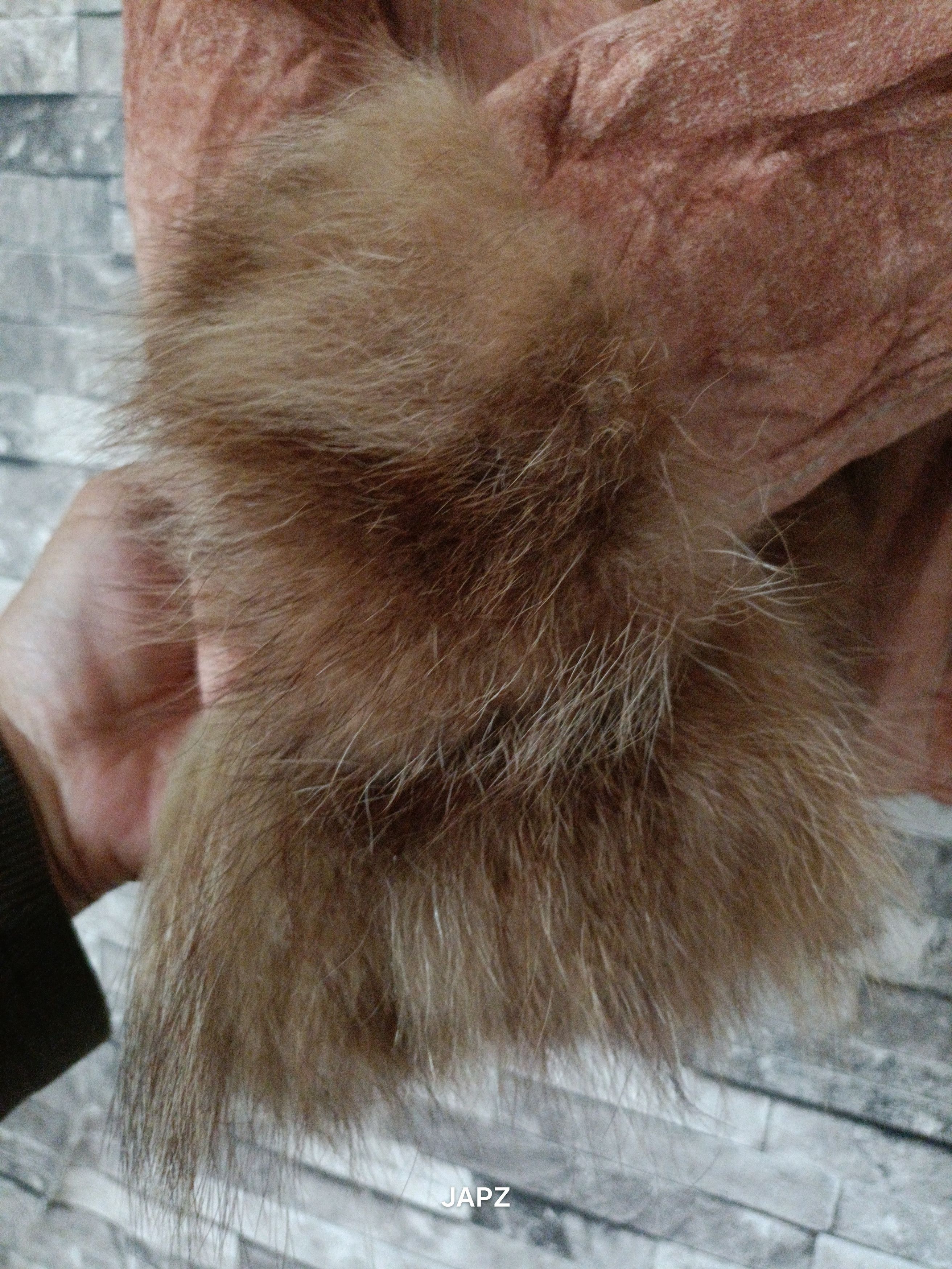 BRAHMIN Y2K Brahmin suede raccoon fur jacket Size S / US 4 / IT 40 - 3 Thumbnail