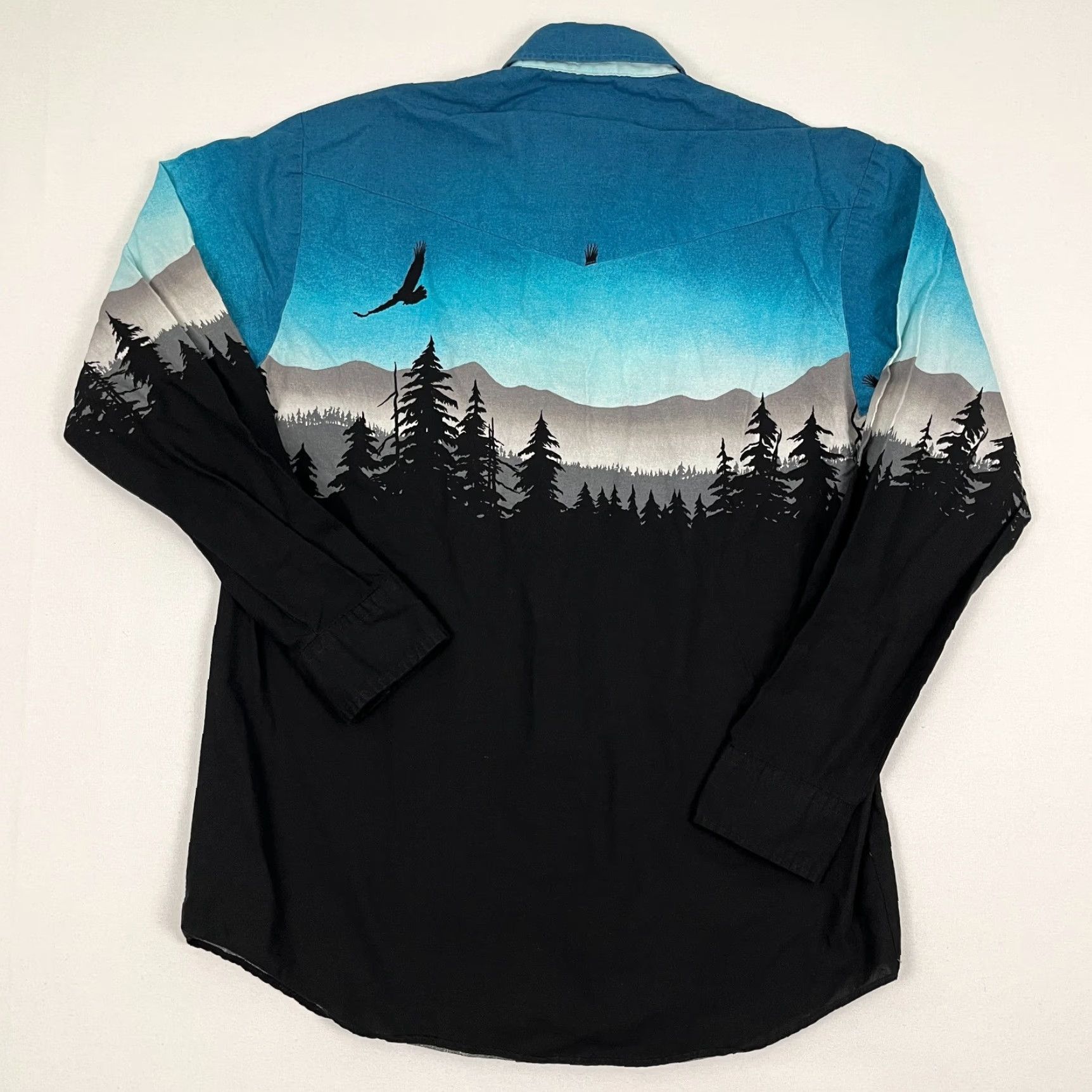 Roper VTG Roper Shirt Men L Blue Pearl Snap Scenic Landscape Eagle Western Rockability Shirt Size US L / EU 52-54 / 3 - 7 Thumbnail