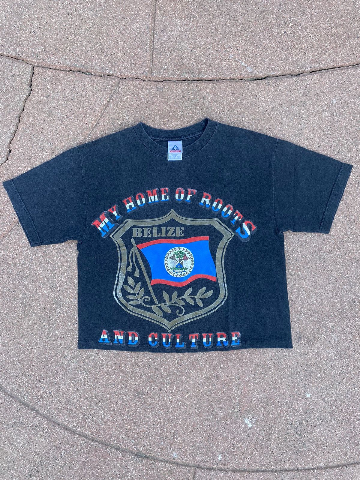 VINTAGE Belize Cropped Tee