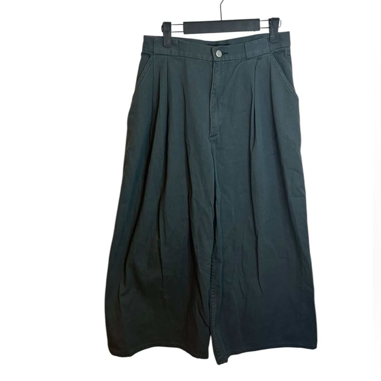 Rachel Comey Rachel Comey Juniper Wolcott Pleated Wide Leg Pant Size 27" / US 4 / IT 40 - 1 Thumbnail