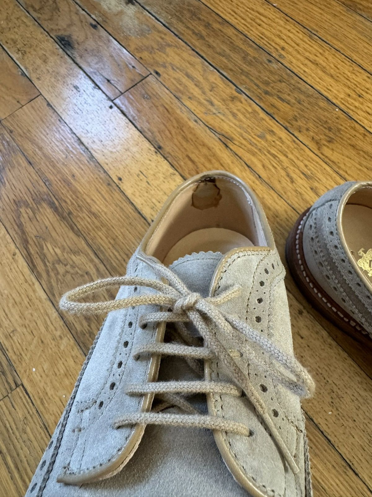 Alden × Todd Snyder Alden for Todd Snyder Suede Bluchers in “Milkshake” Size 8D Size US 8 / EU 41 - 11 Thumbnail