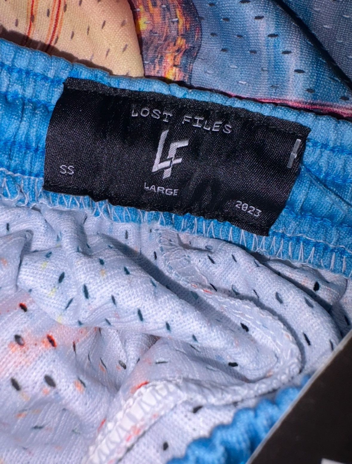Other ‘Lost Files’ Golden Gate Bridge Shorts Size Large BRAND NEW Size US 34 / EU 50 - 3 Thumbnail