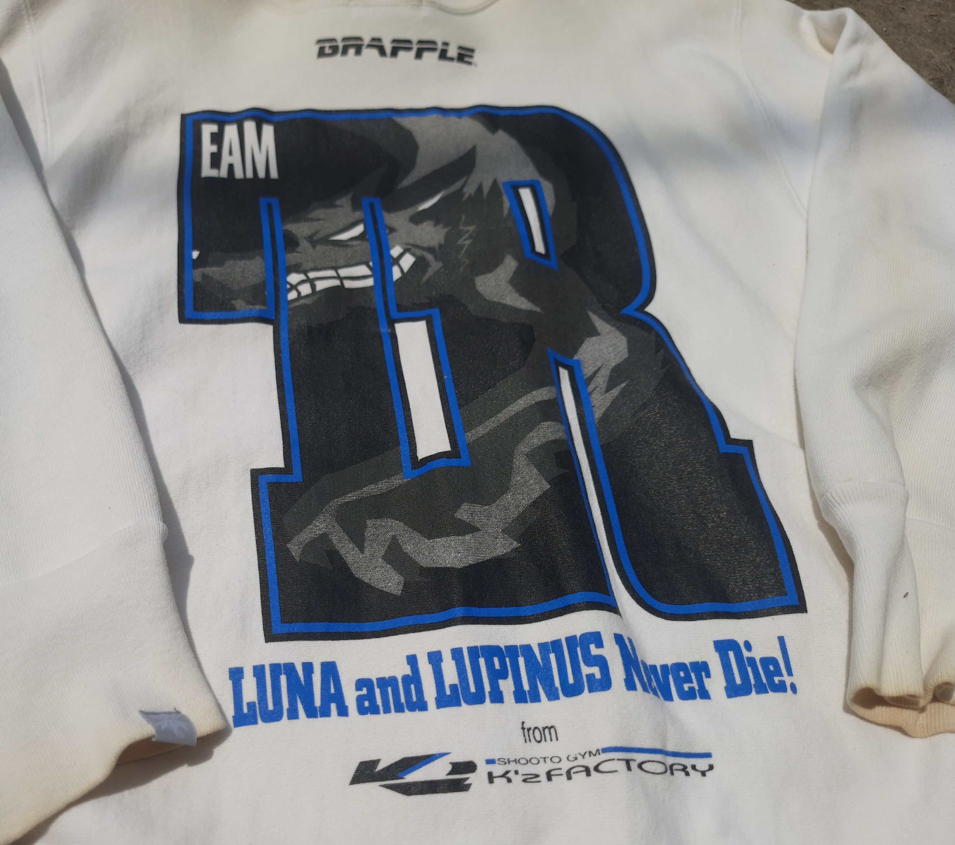 Devilock Y2K Devilock Brapple Luna & Lupinus Sweatshirts Size US L / EU 52-54 / 3 - 6 Thumbnail