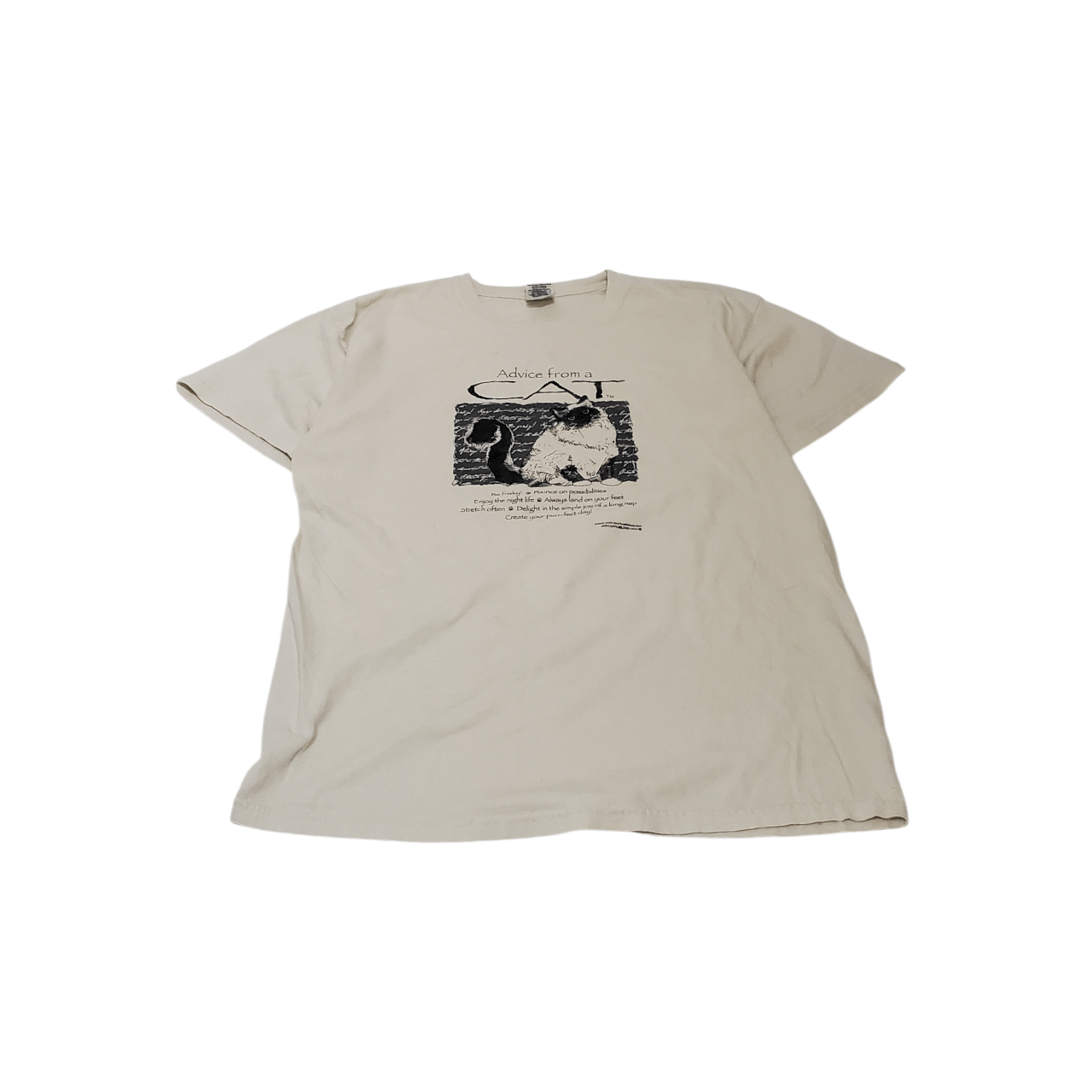 Vintage Y2K Advice From A Cat T-Shirt Size US XL / EU 56 / 4 - 1 Thumbnail