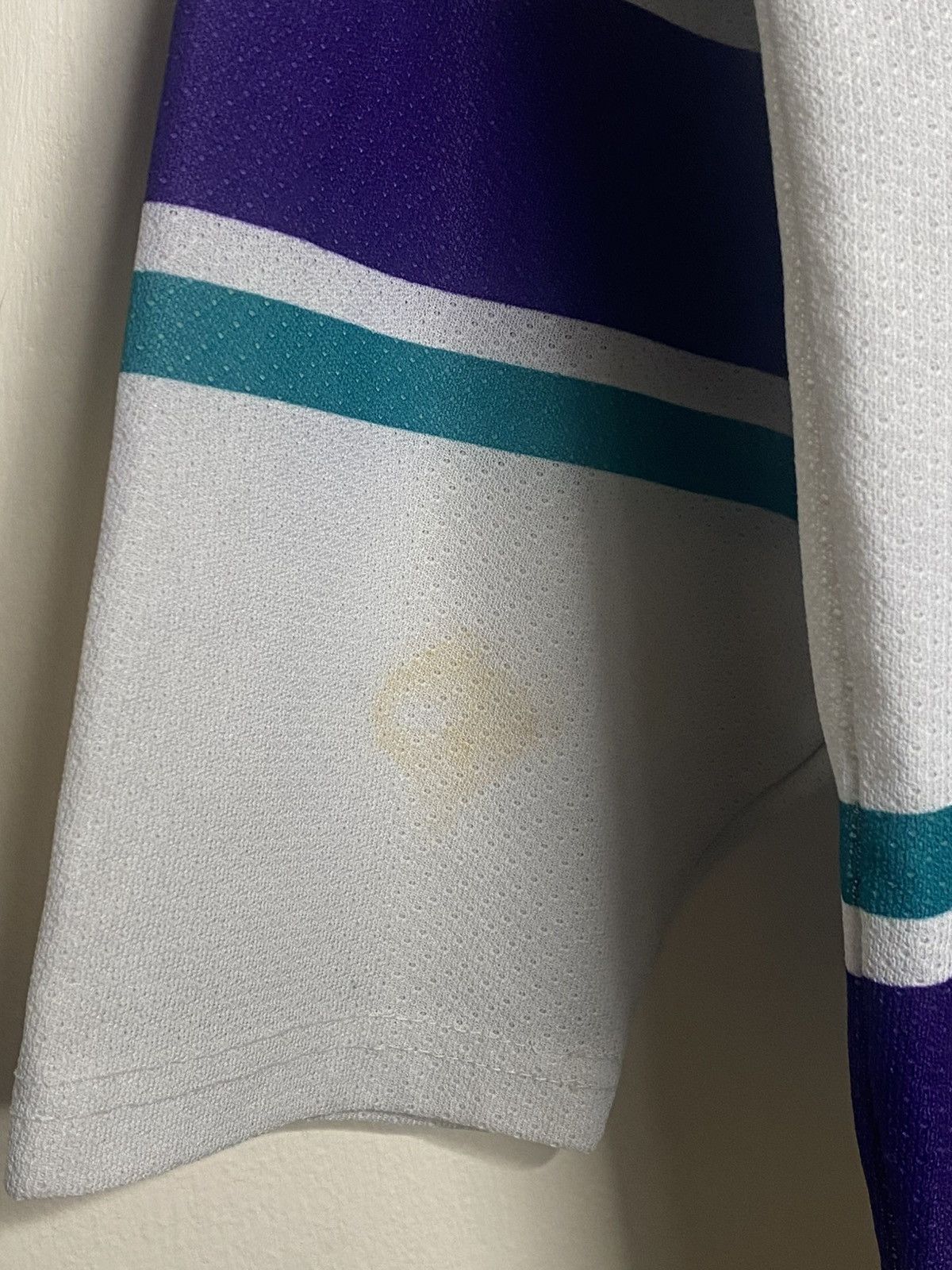 Champion 1990’s Champion Charlotte Hornets Hockey Jersey Size Large Size US XL / EU 56 / 4 - 7 Thumbnail