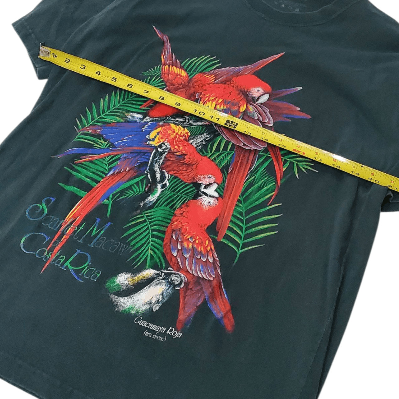 Vintage Vintage 2010s Scarlet Macaw T-Shirt Size US L / EU 52-54 / 3 - 5 Thumbnail