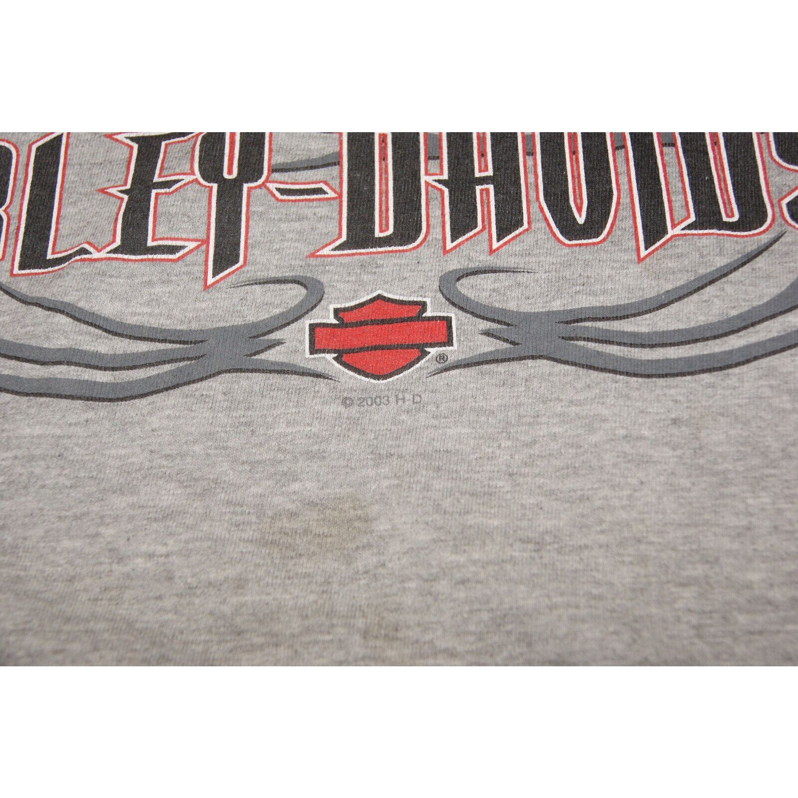 Harley Davidson VTG Harley Davidson Flames 2XL TShirt USA Distressed Size US XXL / EU 58 / 5 - 5 Thumbnail