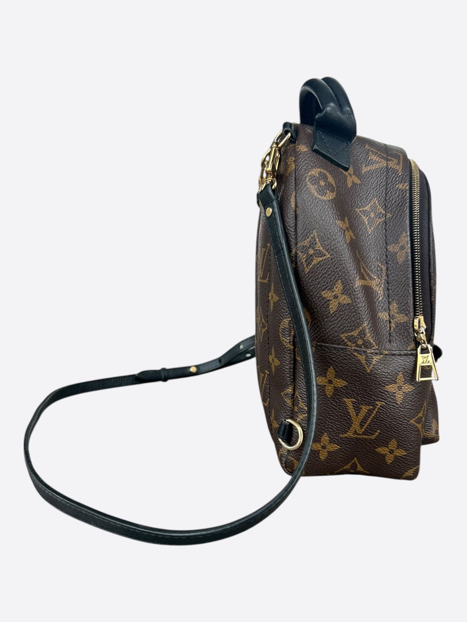 Louis Vuitton Louis Vuitton Brown Monogram Palm Springs Mini Size ONE SIZE - 2 Thumbnail