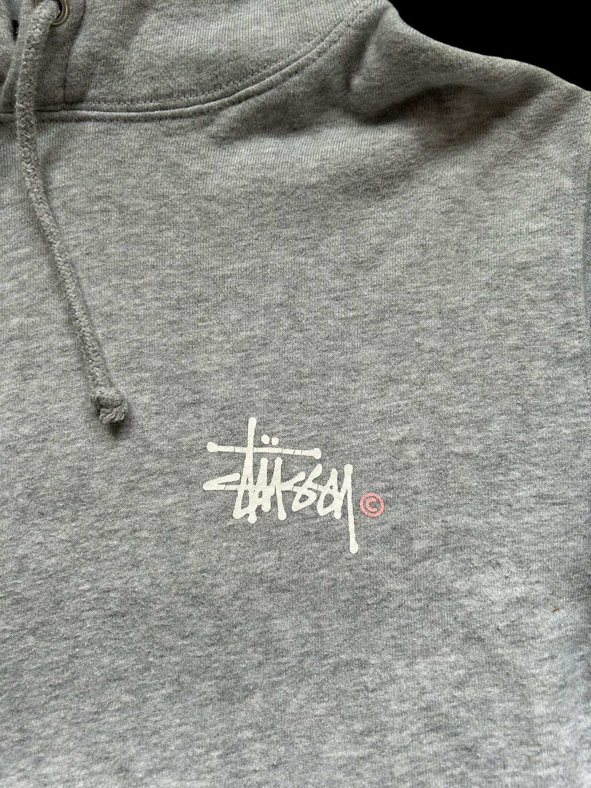 90〜00 old stussy11 STUSSY(ステューシー) 90's~00's VINTAGE Panther x Lion Logo T