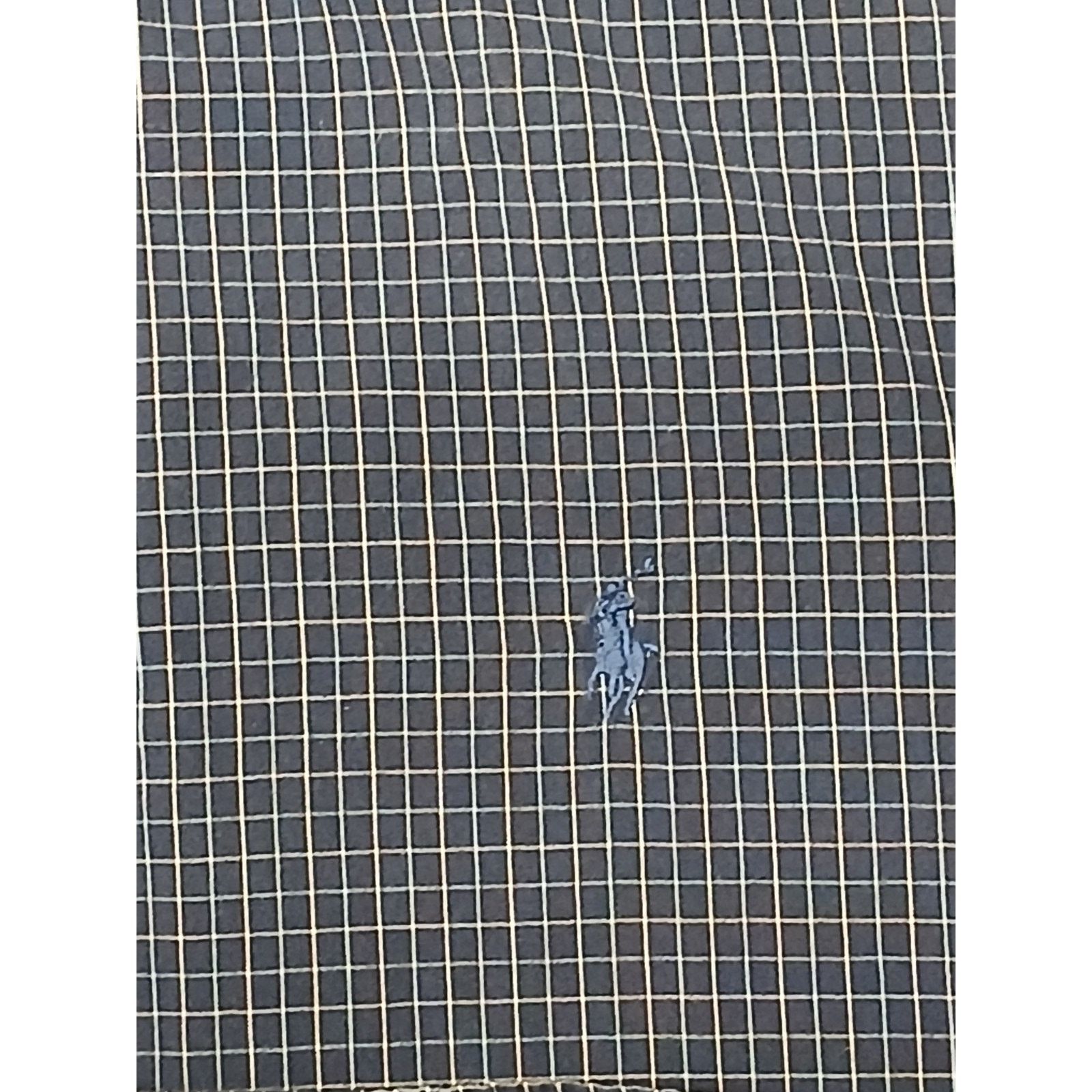 Polo Ralph Lauren Polo Ralph Lauren (XL) Multicolor Plaid Blake Cotton Shirt Size US XL / EU 56 / 4 - 6 Thumbnail