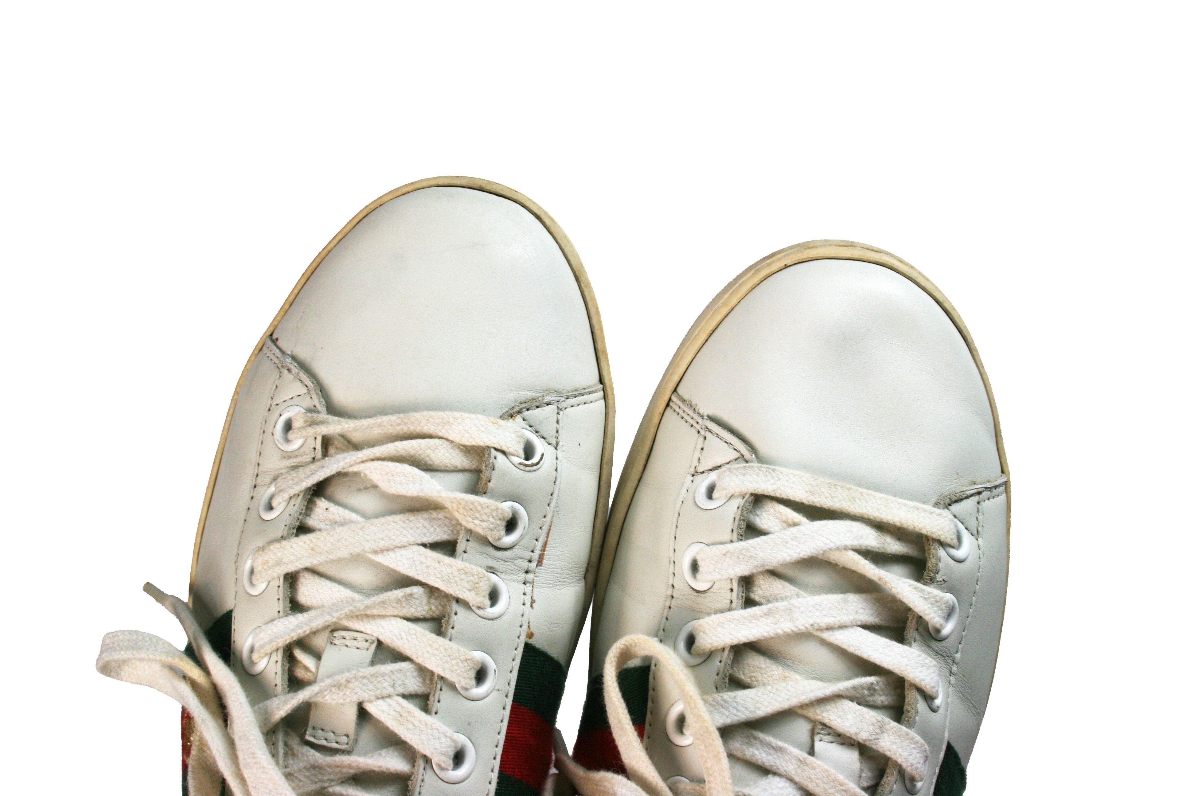 Ace Bee Embroidered Leather Low Sneakers