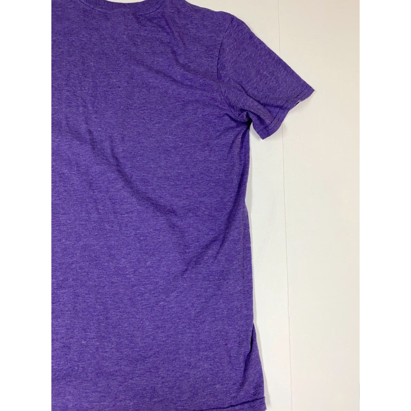 Anvil Ministries Mens Shirt M purple Lion Logo Crew Neck Cotton T-Shirt Short Sleeve Regular Size US M / EU 48-50 / 2 - 5 Thumbnail