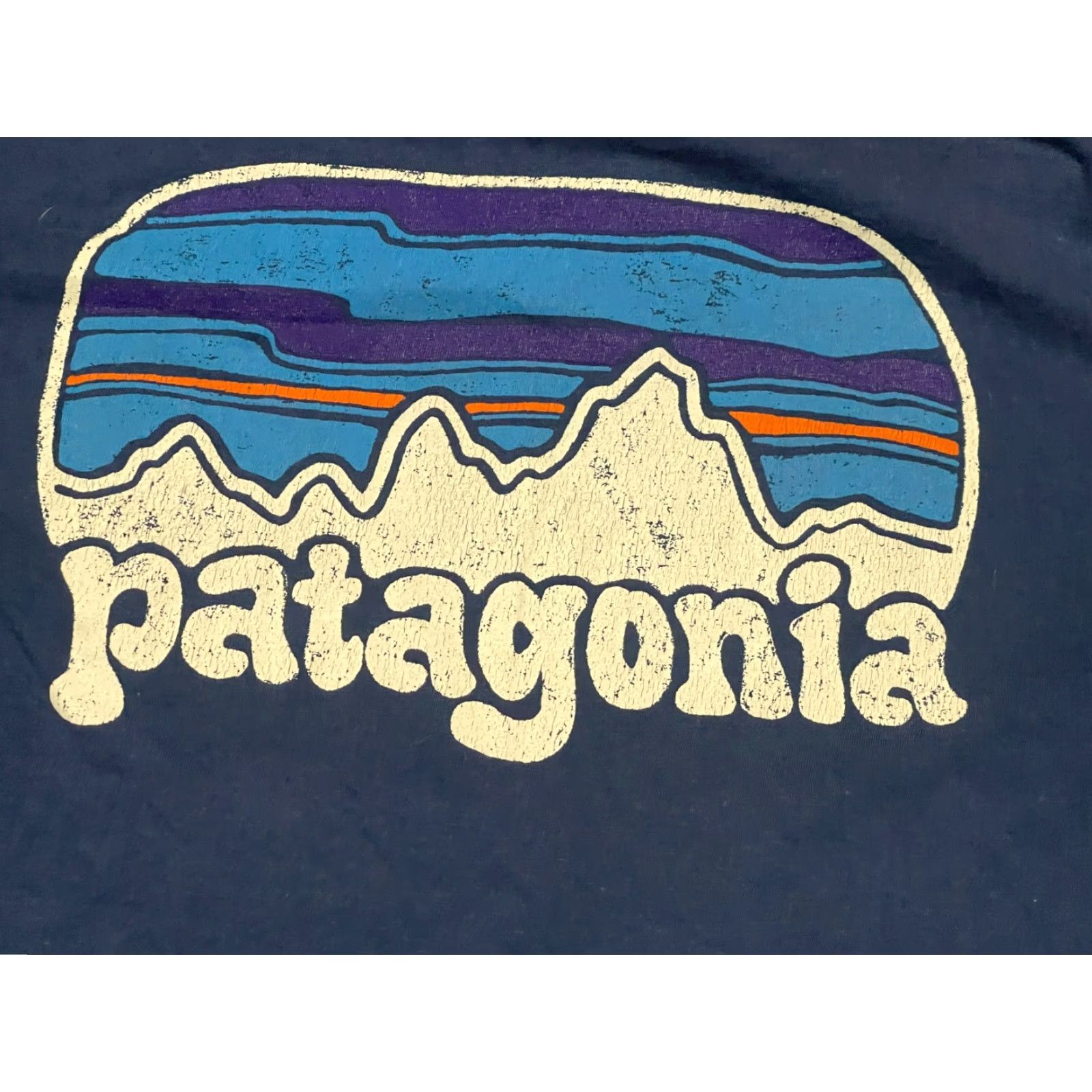 Patagonia Patagonia Shirt Mens Size Medium Blue Regular Fit Pocket Crew Neck Short Sleeve T-Shirt Graphic Print Size US M / EU 48-50 / 2 - 3 Thumbnail