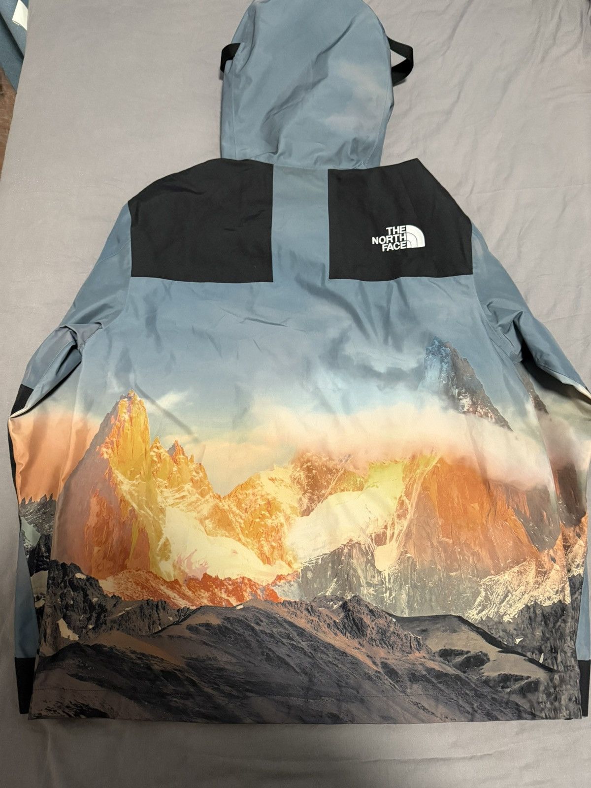 The North Face The North face tnf 1990 Gore-tex gtx mountain visa Jacket Size US L / EU 52-54 / 3 - 2 Thumbnail