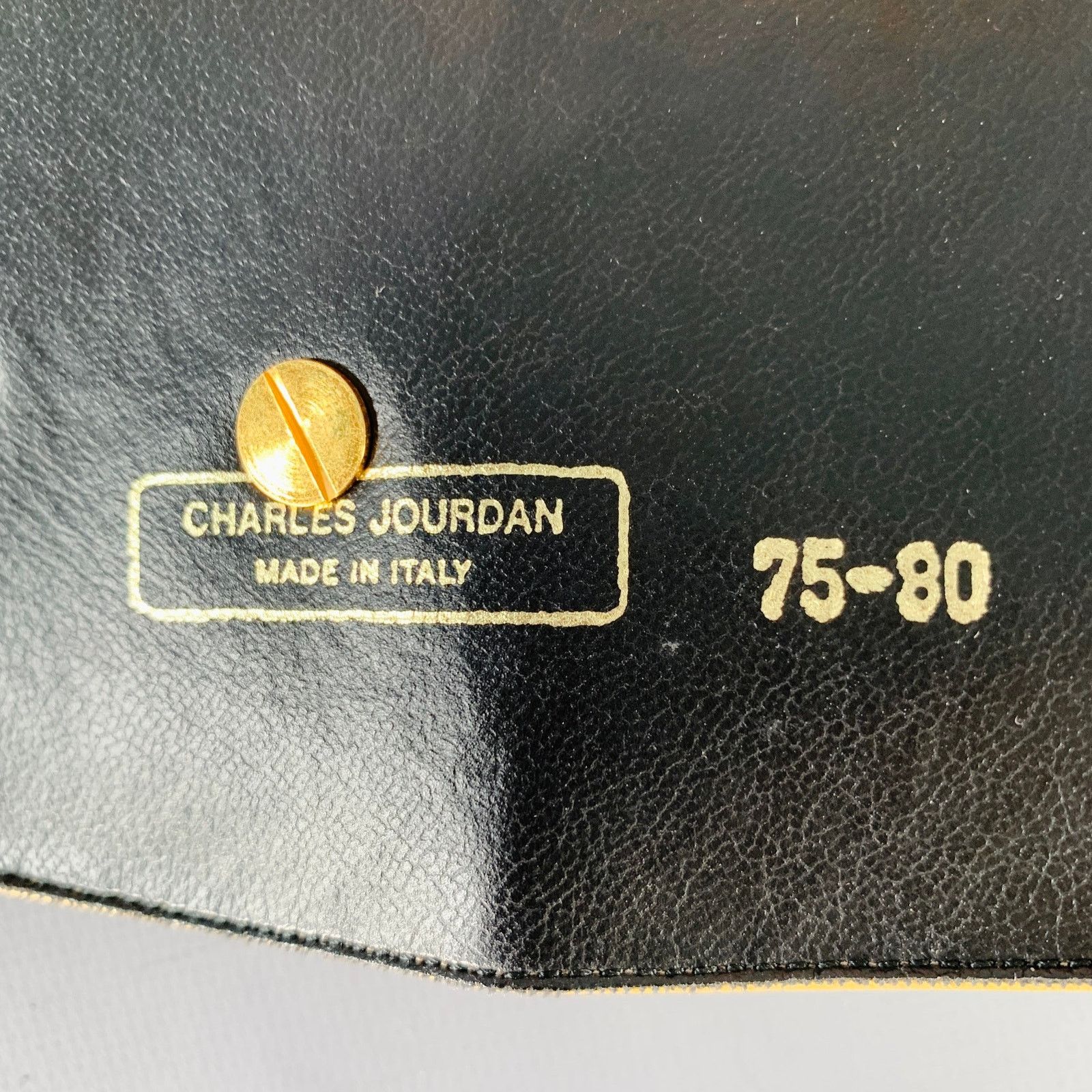 Charles Jourdan CHARLES JOURDAN Gold Silver Two Tone Leather Wide Belt Size ONE SIZE - 5 Thumbnail