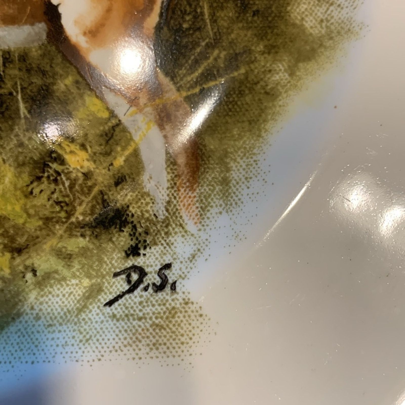Vintage 5 rare Wedgewood wildlife WWF dinner plates David Shepherd Size ONE SIZE - 6 Thumbnail