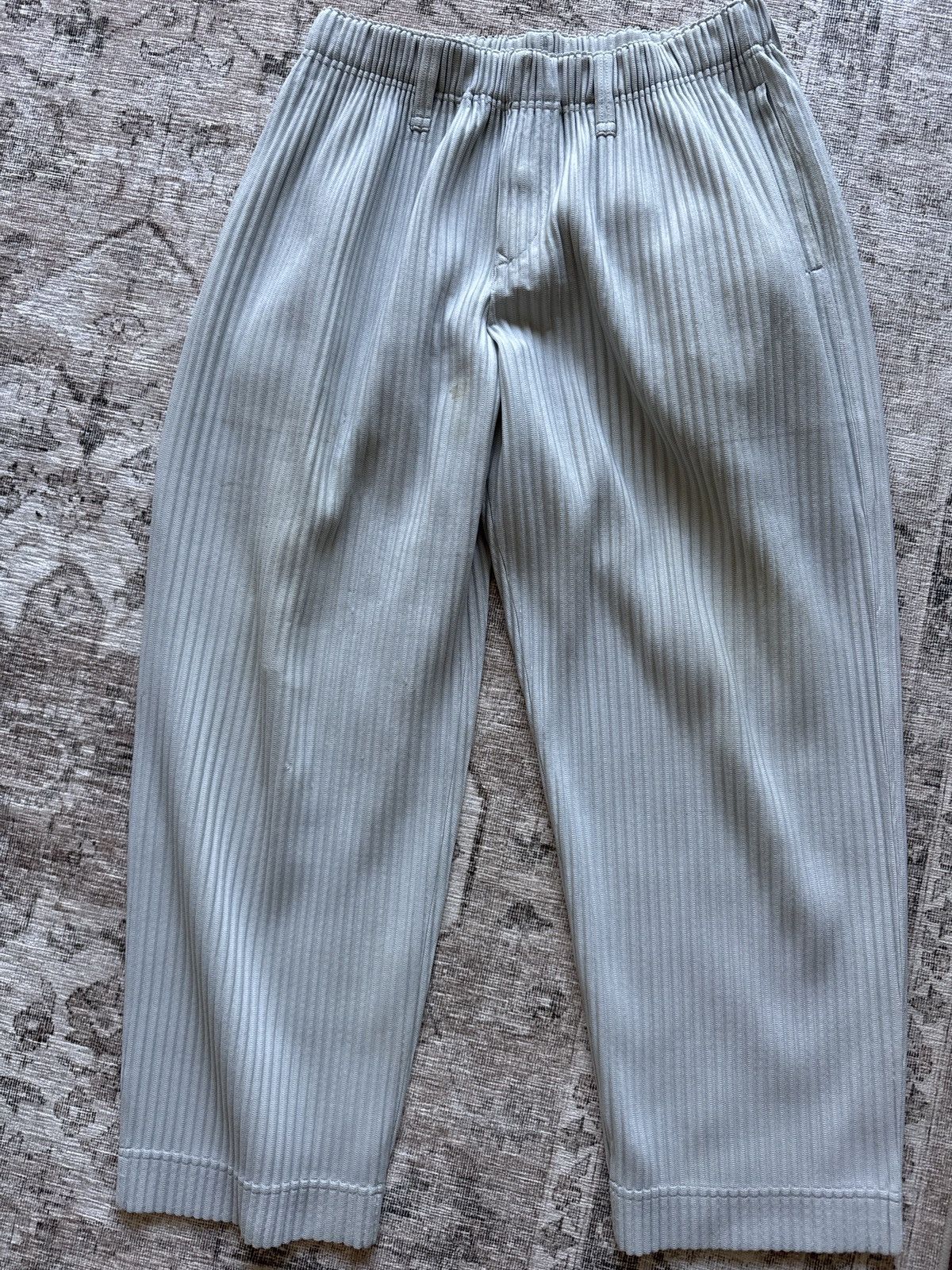 Homme Plisse Issey Miyake pants