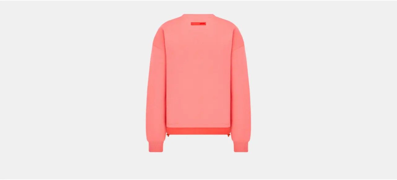 Dior o1w1db10824 Oversized Sweatshirts in Coral Size US XXL / EU 58 / 5 - 2 Thumbnail