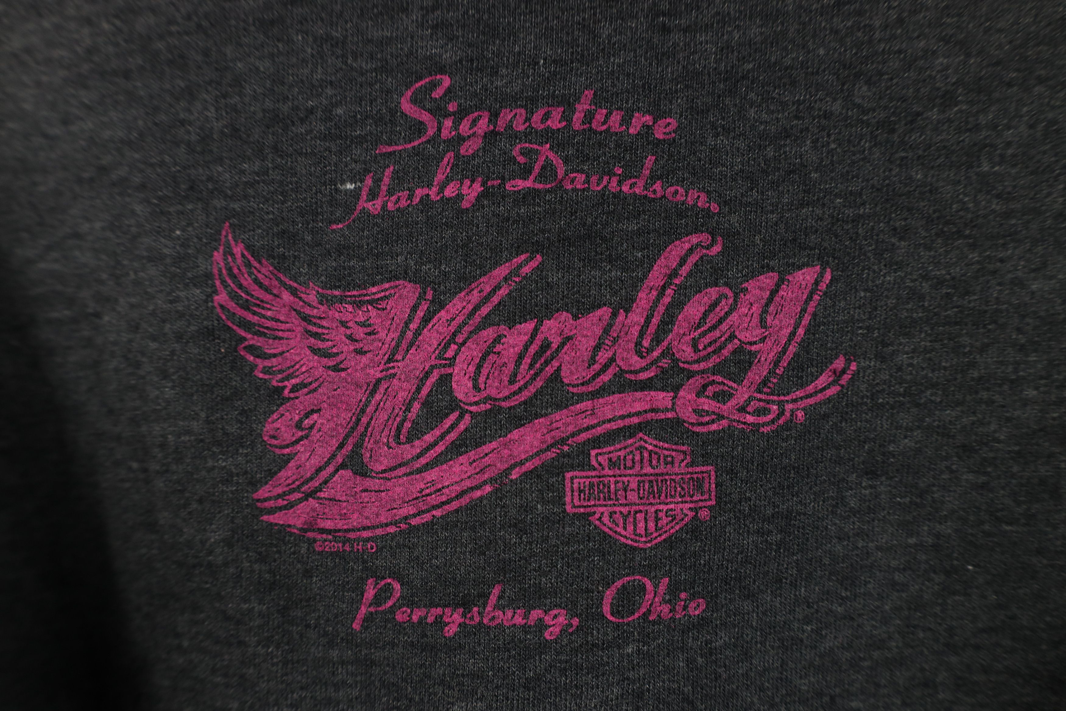 Harley Davidson Vintage Y2K Harley Davidson Spell Big Logo Hoodie Sweatshirt Size US S / EU 44-46 / 1 - 11 Thumbnail