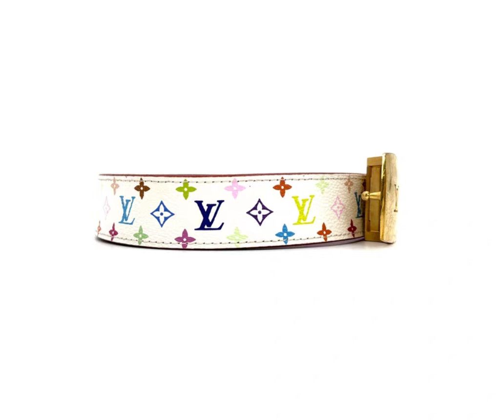 Louis Vuitton Louis Vuitton Multicolor Leather Belt with Gold Buckle Size ONE SIZE - 4 Thumbnail