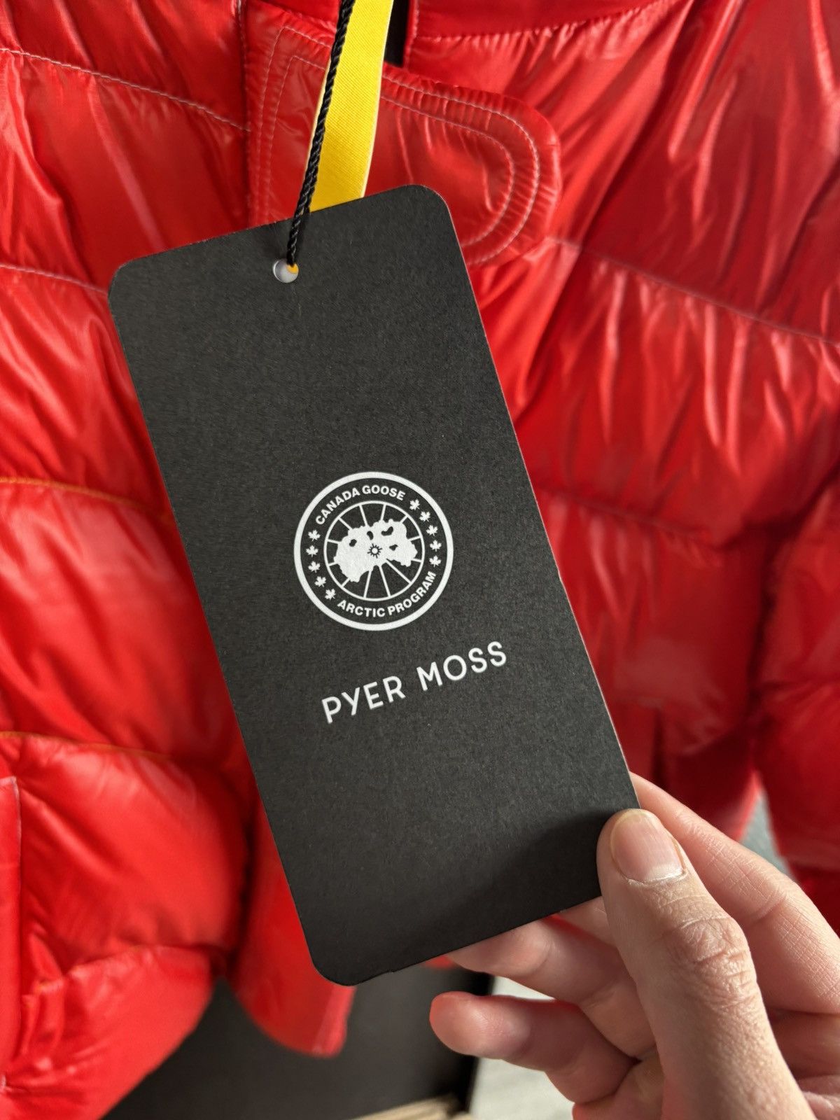 Canada Goose × Pyer Moss Canada Goose Crop Wave puffer jacket reversible Size M / US 6-8 / IT 42-44 - 11 Thumbnail