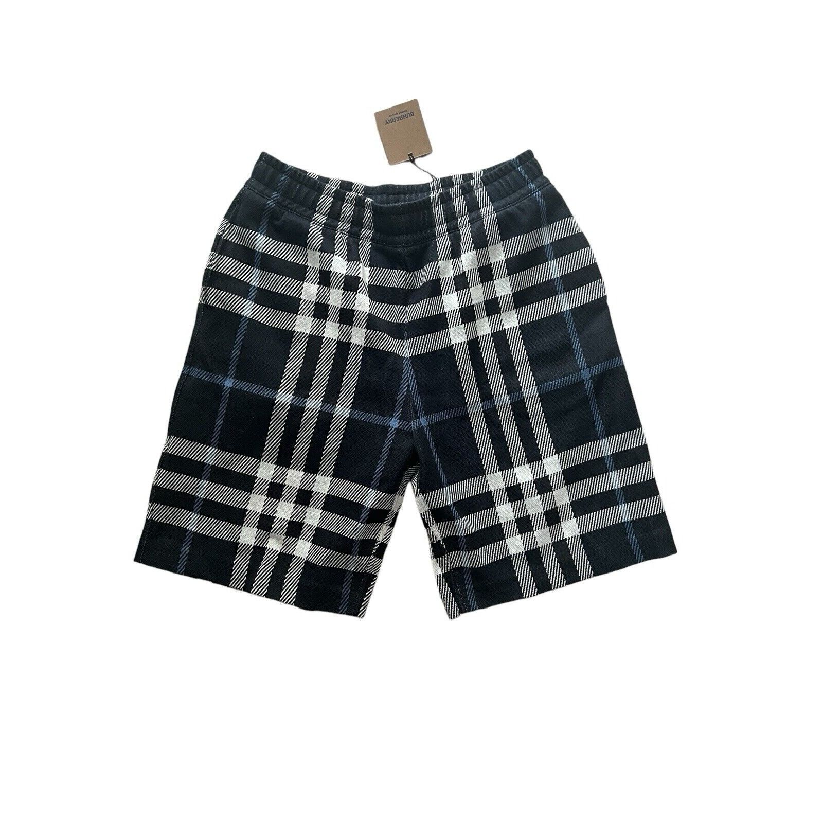 Burberry Men’s Ferryfield Check Shorts Blue Size M