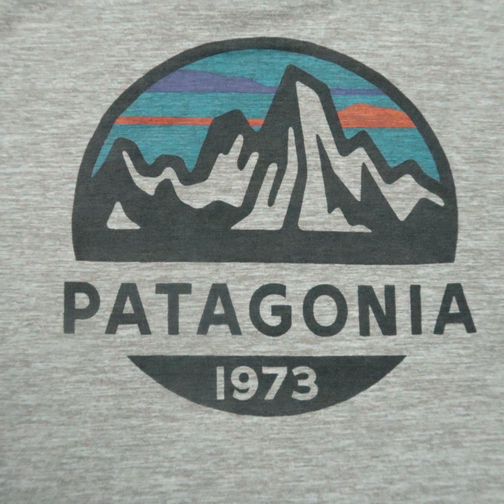 Patagonia Patagonia Shirt Mens Small Gray Capilene Cool Daily Crew Graphic Short Sleeve Size US S / EU 44-46 / 1 - 4 Thumbnail