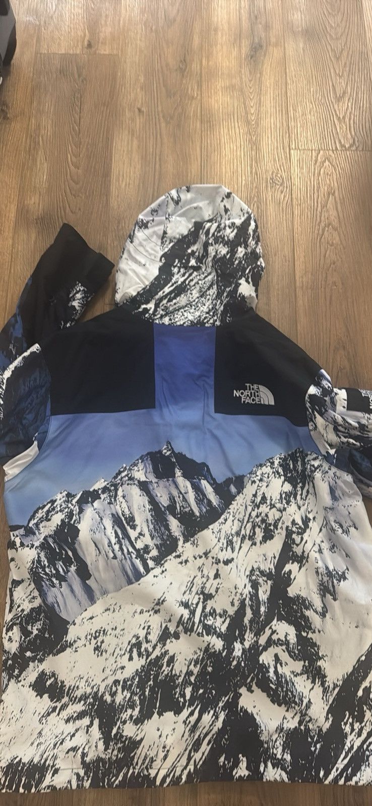 Supreme × The North Face Supreme x The North Face Mountain Parka Size US XL / EU 56 / 4 - 4 Thumbnail