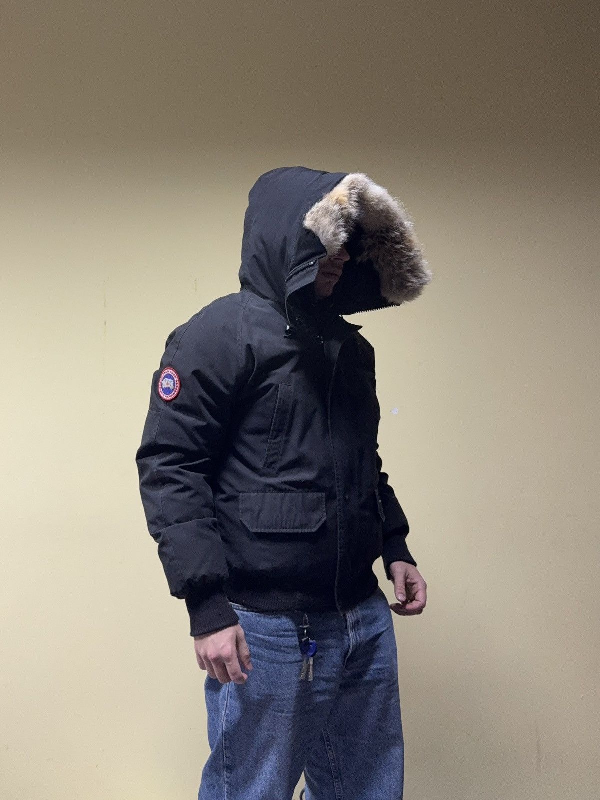 Canada Goose Canada Goose Chilliwack bomber down jacket fur Size US M / EU 48-50 / 2 - 1 Thumbnail