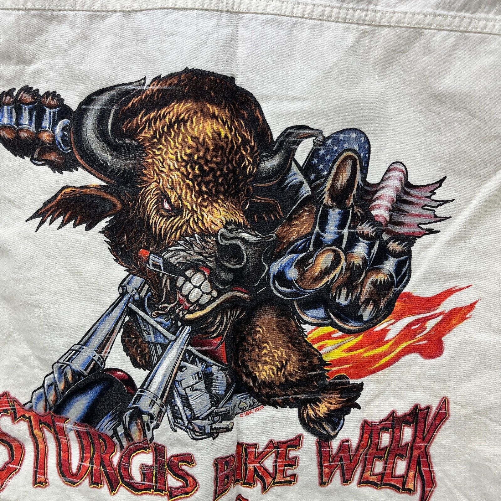Vintage Vintage Y2K Sturgis Bike Week Harley Flames USA XL Bi Size US XL / EU 56 / 4 - 3 Thumbnail
