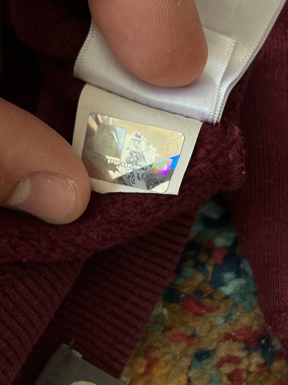🍆 THE NORTH FACE OUTDOOR GORPCORE HOODIE Y2K 90’s