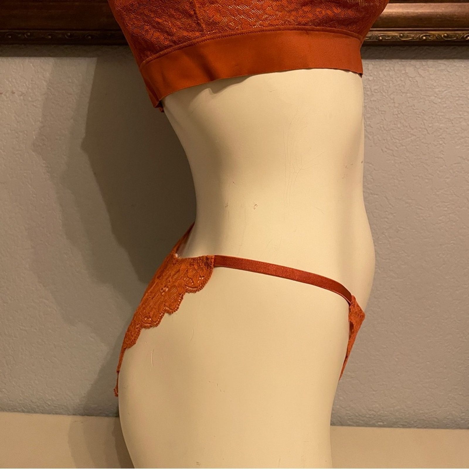 Victoria's Secret Victoria’s Secret Very Sexy Brazilian Slip Panty Rare Rust Size ONE SIZE - 3 Thumbnail